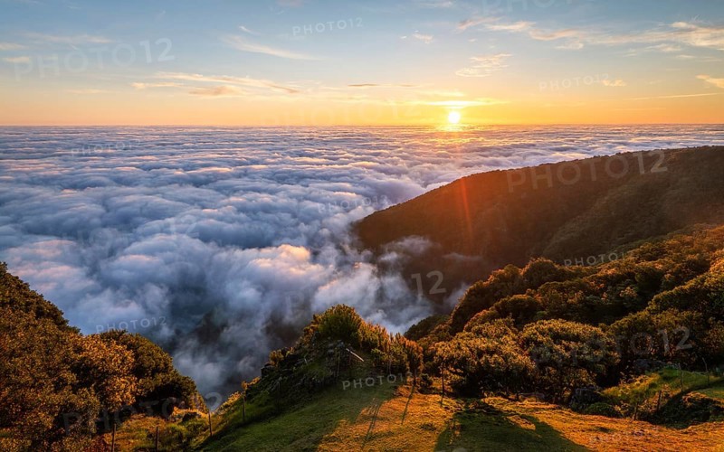 Aerial panorama of sunrise above clouds and green hills at Fanal mountain, Madeira island, Portugal, Europe