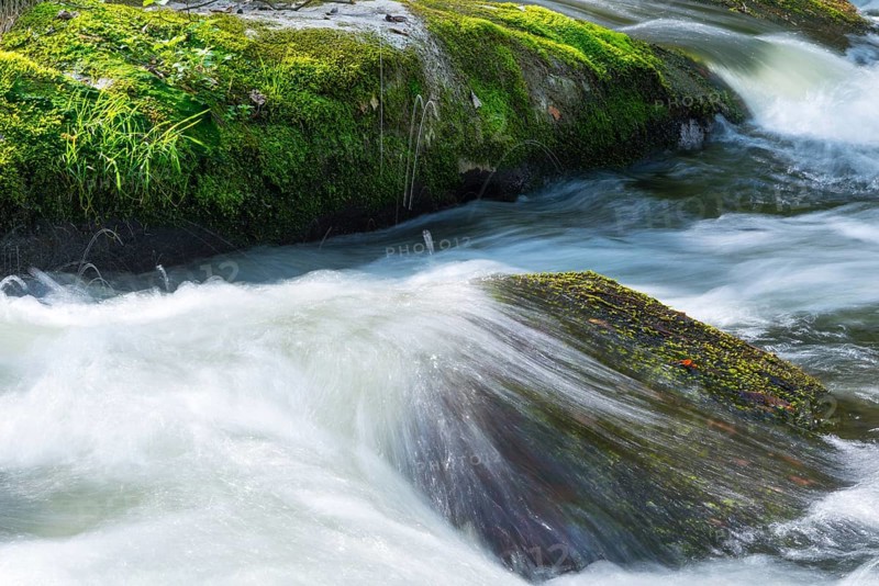 Water flowing over moss-covered stones in a river, rapids, rocks with moss, wiping effect, long exposure, motion blur, soft focus, Bode River, Bode Valley, Eastern Harz, Harz Mountains, Saxony-Anhalt, Germany, Europe