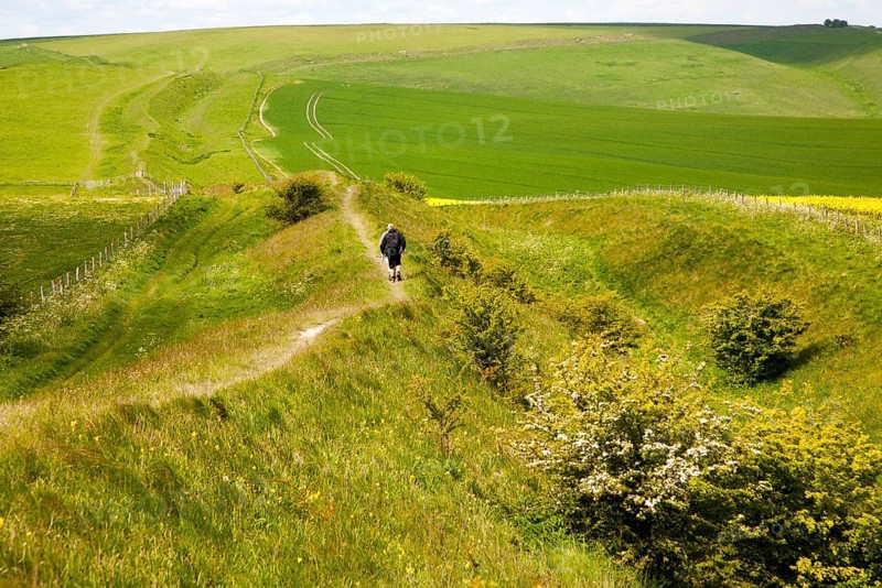 Two men walking along the ditch and embankment of the Wansdyke a Saxon defensive structure on All Cannings chalk downs near Tan Hill, Wiltshire, England, United Kingdom, Europe