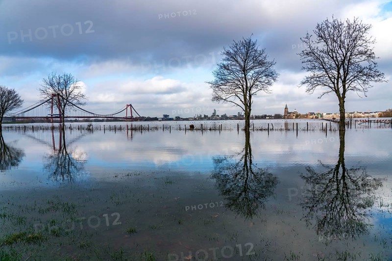Flood on the Rhine, flooded Rhine meadows, fields, Rhine bridge Emmerich, road bridge of the B220, Lower Rhine, here near Emmerich, North Rhine-Westphalia, Germany, Europe
