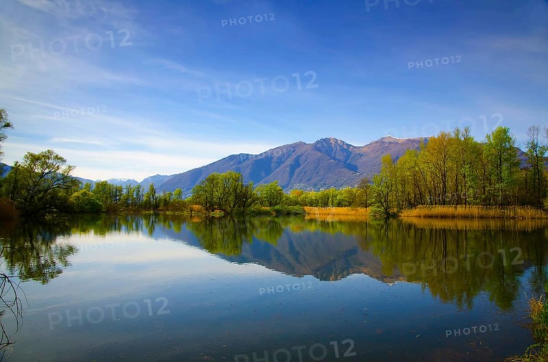 Mirror Image on an Alpine Lake Maggiore with Trees and Mountain in a Sunny Day in Locarno, Ticino, Switzerland, Europe