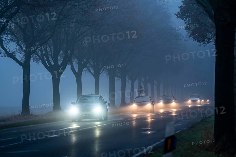 Country road B 57 near Erkelenz, autumn, fog, rainy weather, tree-lined avenue, wet road, North Rhine-Westphalia, Germany, Europe
