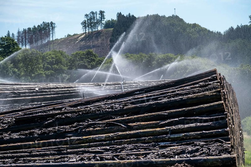 Wet wood storage of a sawmill, timber that is stored longer is sprinkled with water so that the logs soak up water and thus keep pests away and the wood is not too dry and cracks for processing, spruce wood, Arnsberg Forest, Ansberg, North Rhine-Westphalia, Germany, Europe