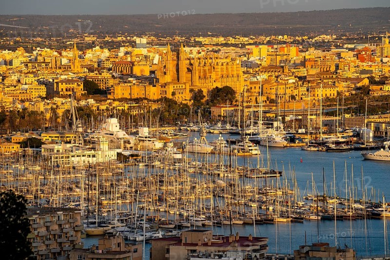 Panorama of Palma de Majorca, Bay of Palma, with the marina and the Cathedral of St Mary, Balearic Islands, Spain, Europe