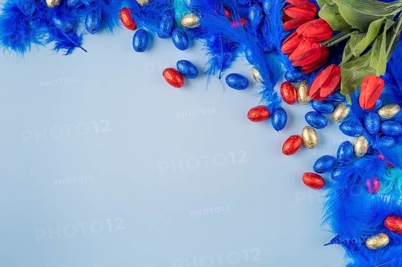 Colourful composition with blue feathers, red tulips and Easter eggs on a blue background
