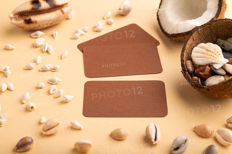 Brown paper business card with coconut and seashells on orange pastel background. Side view, copy space. Tropical, healthy food, vacation, holidays concept