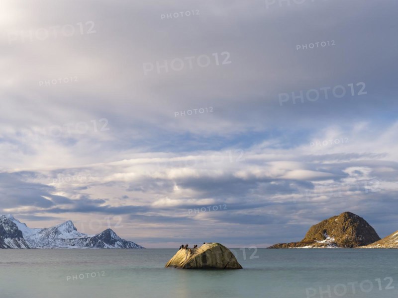 Rocks with birds on Haukland beach, snow-covered mountains in the background, Vestvagoya, Lofoten, Norway, Europe