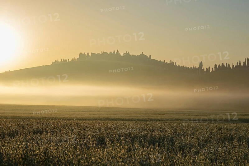 Sunrise in the Crete Senesi, Province of Siena, Tuscany, Italy, Europe