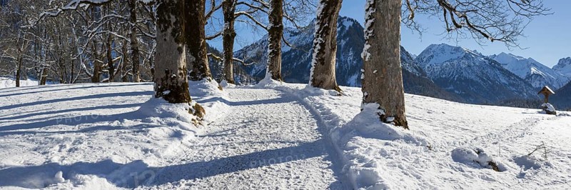 Winter hiking trail at the Hofmannsruh viewpoint above Oberstdorf, OberallgÃ¤u, AllgÃ¤u, Bavaria, Germany, Europe