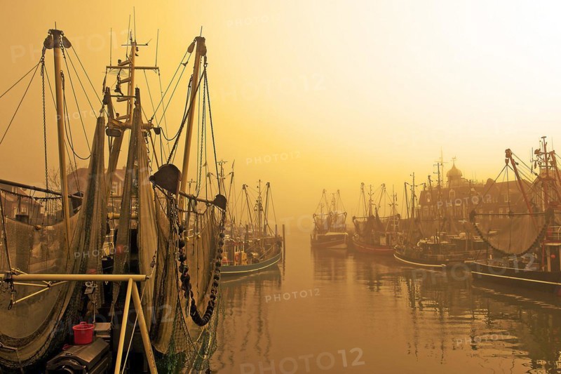 Sunrise in the harbour of Neuharlingersiel, East Frisia, Lower Saxony, Federal Republic of Germany