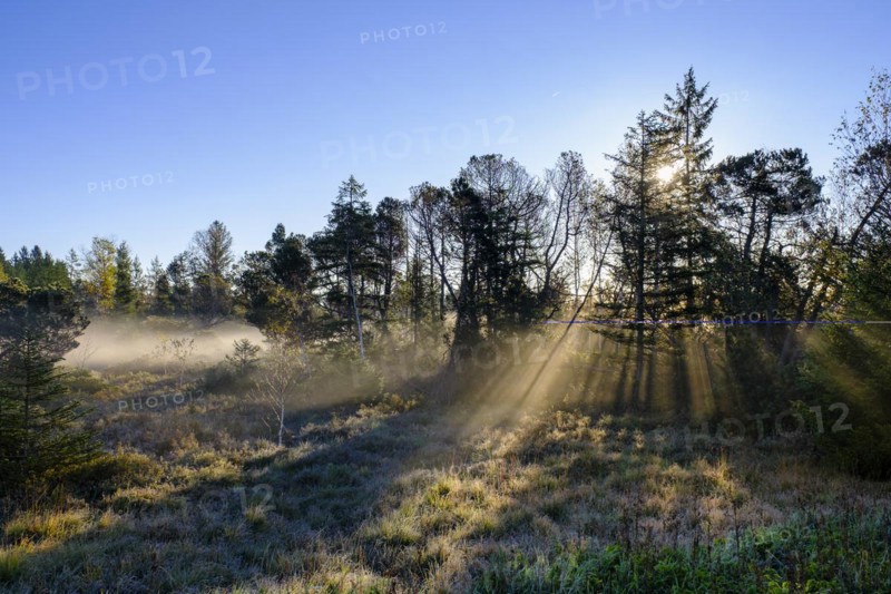 Sunrise with fog, in the Kirchsee Filzen, Kirchseemoor, near Sachsenkam, Tölzer Land, Alpine foothills, Upper Bavaria, Bavaria, Germany, Europe