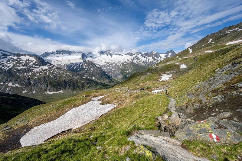 Hiking trail in picturesque mountain landscape, mountain peaks with snow and glacier Hornkees and Waxeggkees, summit Hornspitzen and GroÃŸer Möseler, Berliner Höhenweg, Zillertal Alps, Tyrol, Austria, Europe