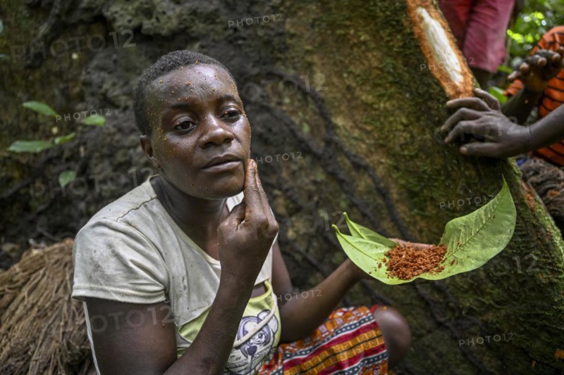 Pygmy woman of the Baka or BaAka people smearing tree bark on her face, cosmetics, Dzanga-Sangha Special Dense Forest Reserve, Sangha-Mbaéré Prefecture, Central African Republic, Africa