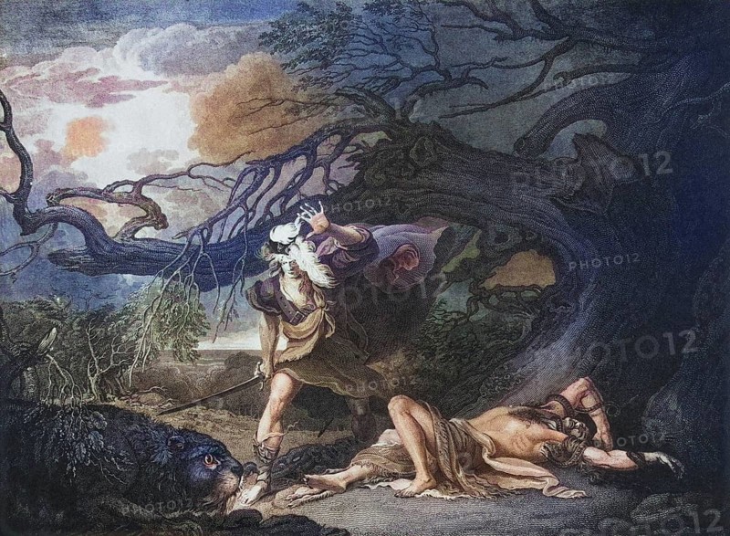 As you like it. Act IV. Scene III, The Forest. The rescue of Oliver, told by Oliver to Rosalind and Celia. From the Boydell Shakespeare Gallery, published at the end of the 19th century, Historic, digitally restored reproduction from a 19th century original, Record date not stated