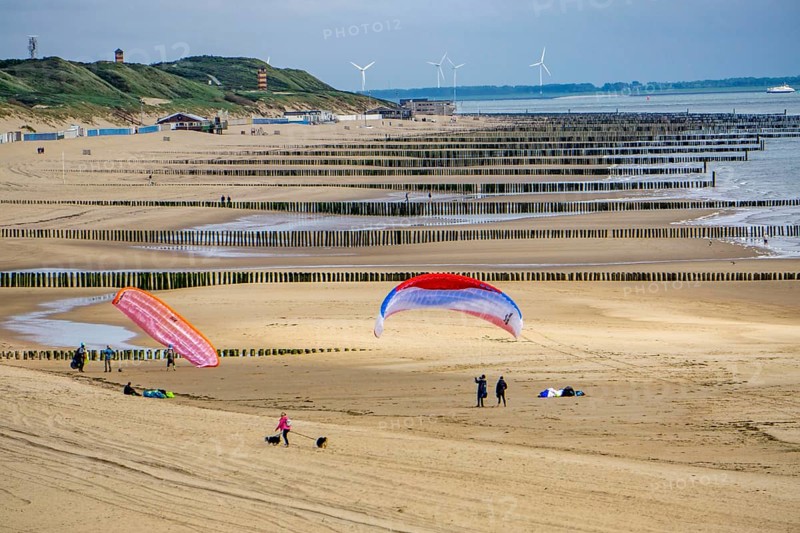 North Sea coast in Zeeland, called Zeeland Riviera, breakwater, made of wooden piles, near Zoutelande, municipality of Veere, Netherlands