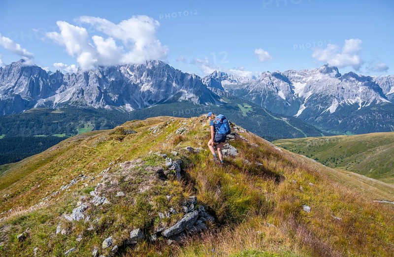 Hiker on the Carnic High Trail, Carnic Main Ridge, Carnic Alps, Carinthia, Austria, Europe