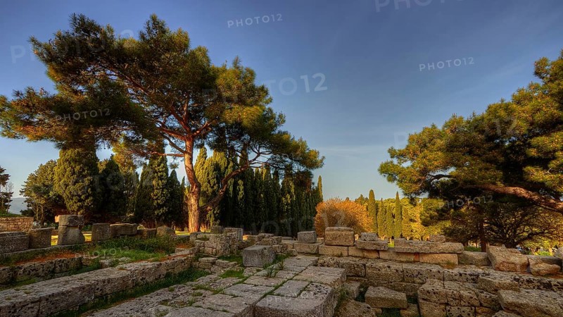 HDR Photo, Remains of Athena Polias Temple, Ancient ruins and trees under a sunny sky, Filerimos, hill not far from Rhodes town, Ancient State of Ialyssos, Rhodes, Dodecanese, Greek Islands, Greece, Europe