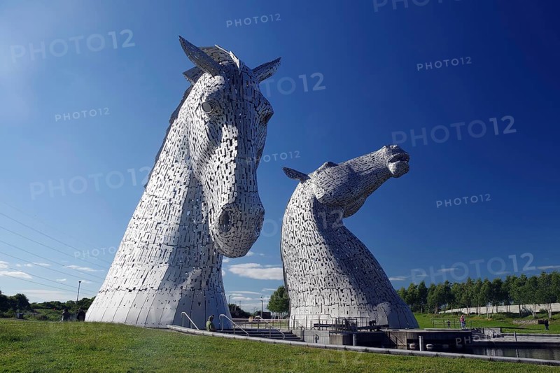 The Kelpies, imposing horse sculptures, tower into the blue sky above an open landscape, Forth and Clyde Canal, Falkirk, Scotland, United Kingdom, Europe