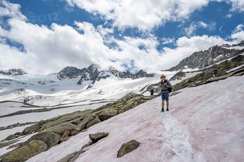 Mountaineer on a snowfield, descent from the summit of Schönbichler Horn, view of snow-covered and glaciated mountain landscape with summit GroÃŸer Möseler, Berliner Höhenweg, Zillertal Alps, Tyrol, Austria, Europe