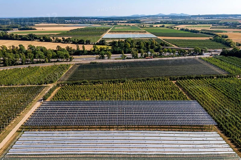 Agri-photovoltaic test plant, an apple orchard with two different systems of PV modules was roofed over 3000 square metres, rain and sunlight comes through, at the same time protection against hail and heavy rain, next to it are the same trees but without a solar roof, as a comparison object, how the PV roof affects the trees and harvest, the field test is accompanied by the Fraunhofer Institute for Solar Energy Systems ISE, in Grafschaft-Gelsdorf, Rhineland-Palatinate, Germany, Europe