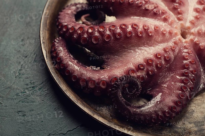 Boiled octopus, close-up, rustic style, no people, top view, close-up