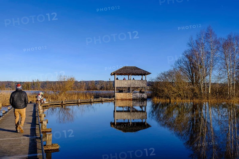 Plank path to the observation tower, high water in DieÃŸen am Lake Ammer, Diessen, Fünfseenland, Upper Bavaria, Bavaria, Germany, Europe