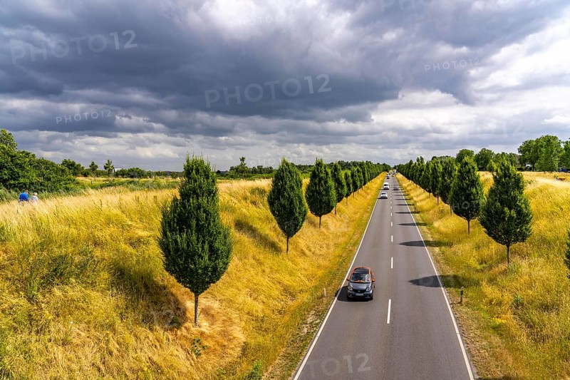 Dorstfelder Allee in Dortmund, completely new road built in 2013, former farmland, in the Dorstfeld district, Tuscany-style tree avenue with 92 new trees, North Rhine-Westphalia, Germany, Europe