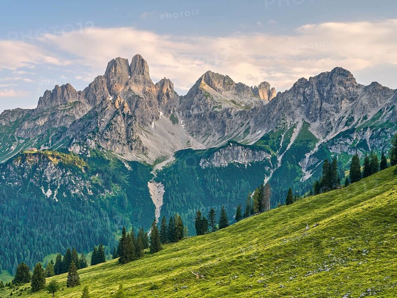 Alpine meadow in front of the large Bischofsmütze, Gosaukamm, Dachstein massif, Sulzenalm, Filzmoos, Pongau, Salzburg, Austria, Europe