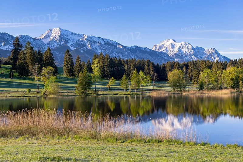 Hegratsrieder See near Füssen, AllgÃ¤u Alps, snow, AllgÃ¤u, Bavaria, Germany, Europe