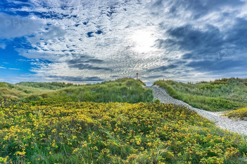 North Sea, Spiekeroog Island, autumn, dune landscape in the west of the island, dune crossing, East Frisian Islands, Lower Saxony, Germany, Europe