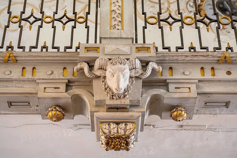 Head of a billy goat, sculpture, decoration in the library of Salem Castle, former imperial abbey, former monastery of the Cistercian order, Salem, Lake Constance, Lake Constance district, Baden-Württemberg, Germany, Europe