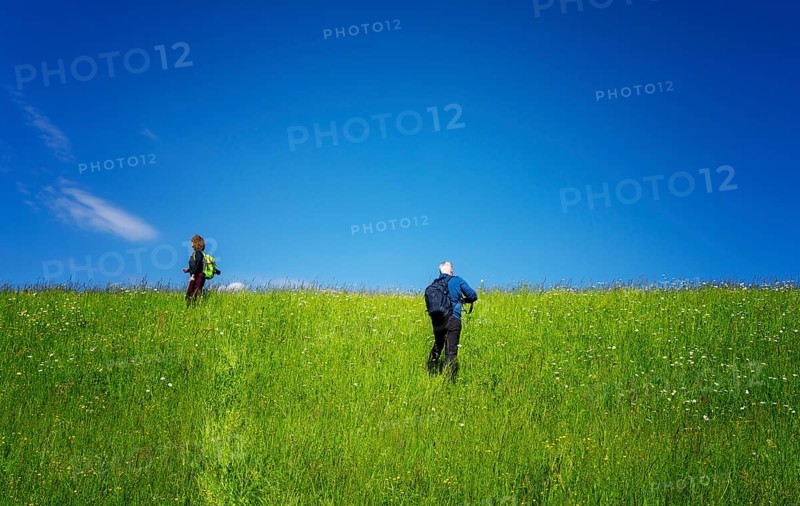 Hiker in a meadow on a mountain, Bad Vigaun, Austria, Europe