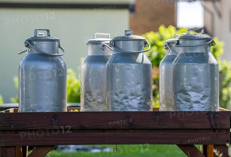 Milk stand, with old milk cans, erected as a reminder of earlier times in agriculture, here the dairy farmers deposited the cow's milk after milking, they were then transported to the dairy, in Sauerland, village of Wülfte, near Brilon, North Rhine-Westphalia, Germany, Europe