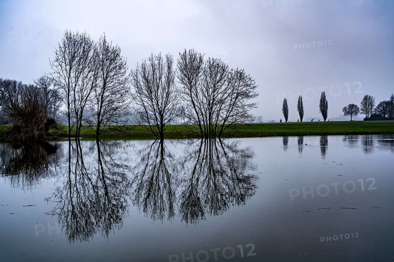 High water on the Rhine at Düsseldorf-Kaiserswerth, foggy weather, riverside paths and Rhine meadows are partly flooded, the Rhine ferry has stopped operating, initial restrictions on shipping apply, Düsseldorf, North Rhine-Westphalia, Germany, Europe