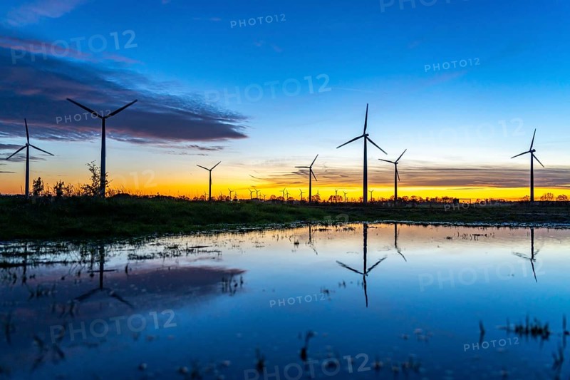 Wind farm near Holzweiler, town of Erkelenz, wind turbines, rain puddle, North Rhine-Westphalia, Germany, Europe