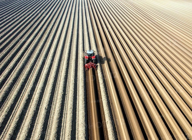 An aerial photo shows a tractor in a large asparagus field. Preparations for the asparagus season. The soil is loosened with a tiller at the front of the tractor, the rear tiller of the tractor creates the typical asparagus mound, Klaistow, Germany, Europe