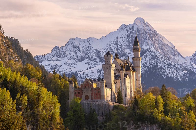 Neuschwanstein Castle near Füssen, evening mood, Schwangau, AllgÃ¤u Alps, snow, OstallgÃ¤u, Bavaria, Germany, Europe