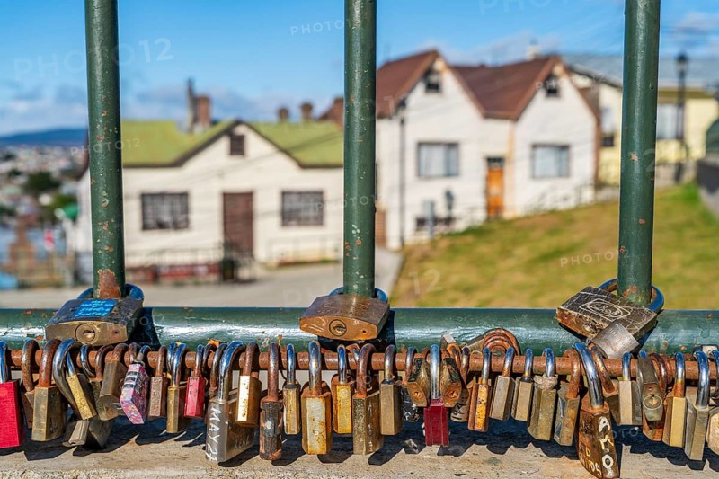 Love locks on a fence, residential houses behind, city of Punta Arenas, Patagonia, Chile, South America