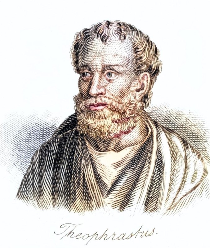 Theophrastus, 372 BC, 287 BC Greek philosopher and naturalist, Historical, digitally restored reproduction from a 19th century original, Record date not stated