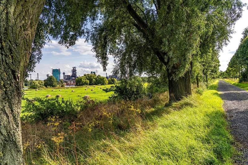 Duisburg Friemershein, field path, floodplain along the Rhine, nature reserve Rheinaue Friemersheim, in the background the HKM steelworks, on the other side of the Rhine, North Rhine-Westphalia, Germany, Europe