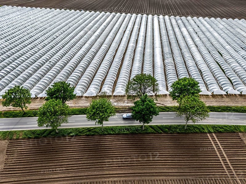Agriculture, large areas with foil tunnel, for the cultivation of strawberries, freshly cultivated fields, south of Lövenich, belongs to Erkelenz, in the district of Heinsberg