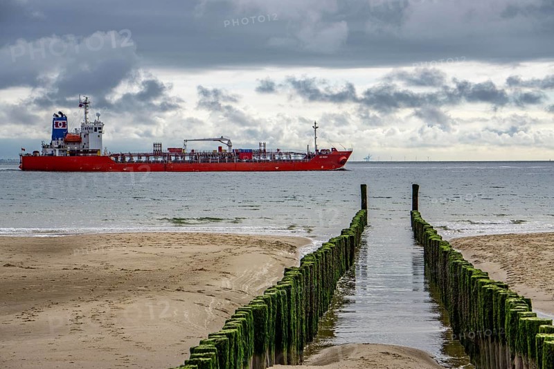 North Sea coast in Zeeland, called Zeeland Riviera, breakwater, made of wooden piles, near Zoutelande, tanker NQ Rosa, municipality of Veere, Netherlands