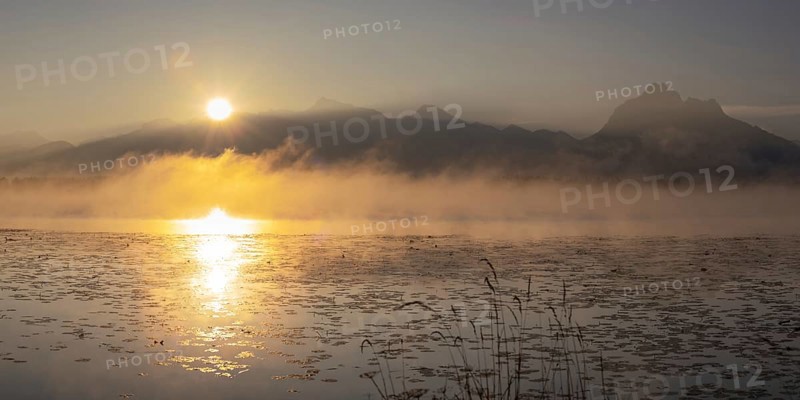 Sunrise at Lake Hopfensee near Füssen, behind Hopfen am See, the Tegelberg massif and the SÃ¤uling, OstallgÃ¤u, AllgÃ¤u, Upper Swabia, Swabia, Bavaria, Germany, Europe