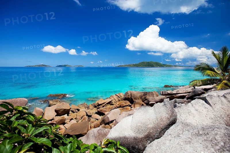 La Digue, Palm tree beach, Seychelles, Indian Ocean, Palm trees, La Digue, Indian Ocean, Seychelles, Africa