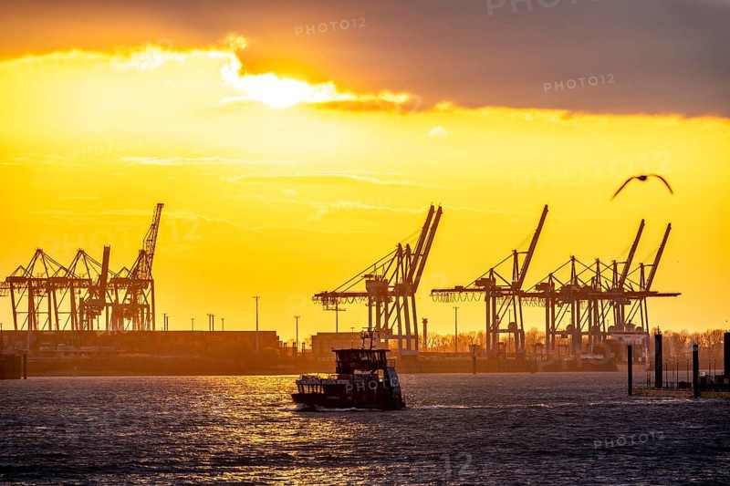 Port of Hamburg, view of the Blohm + Voss shipyard, evening, cranes of the container terminals, Hadag harbour ferry, Hamburg Germany