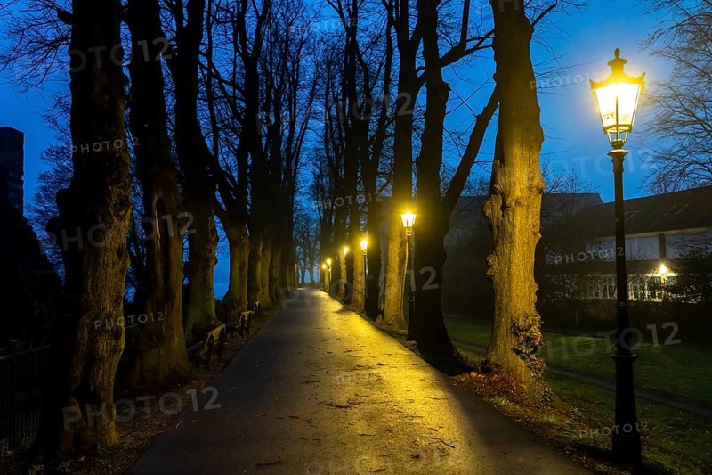 The Burgallee in Düsseldorf-Kaiserswerth, tree-lined avenue, at the old imperial palace, on the Rhine, in winter, lantern lighting, Düsseldorf, North Rhine-Westphalia, Germany, Europe