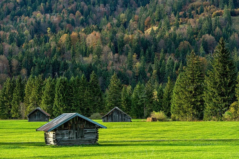 Green meadow with log cabins, wooden hay huts, forest, mountain, Wallgau, Upper Bavaria, Bavaria, Germany, Europe
