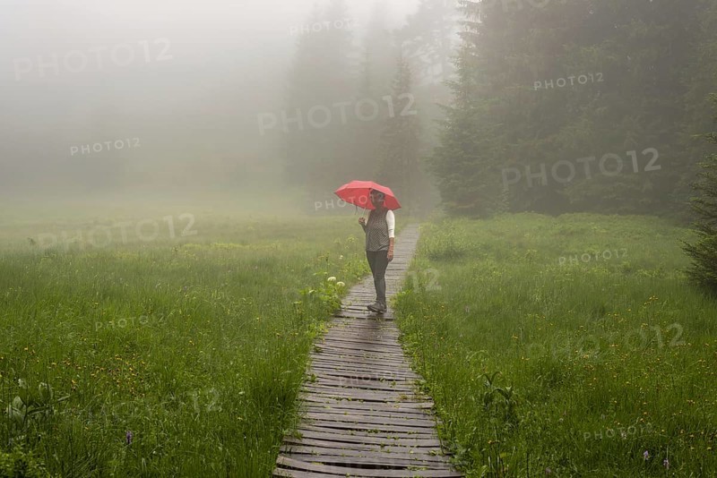 Woman 60-65 with umbrella in the Hühnermoos on a cloudy day with fog, a high moor at the Söllereck near Oberstdorf, AllgÃ¤u Alps, AllgÃ¤u, Bavaria, Germany, Europe