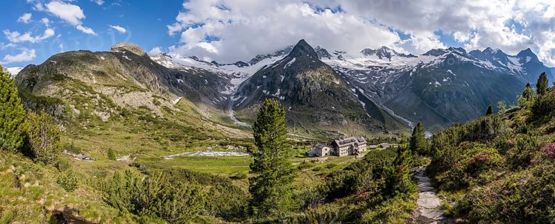 Panorama, mountain landscape with hiking trail and alpine roses, mountain hut Berliner Hütte, mountain peak Steinmandl, glacier Waxeggkees, Berliner Höhenweg, Zillertal Alps, Zillertal, Tyrol, Austria, Europe