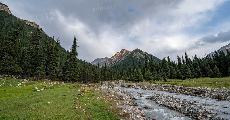 Green mountain valley with forest and mountain stream, Chong Kyzyl Suu Valley, Terskey Ala Too, Tien-Shan Mountains, Kyrgyzstan, Asia